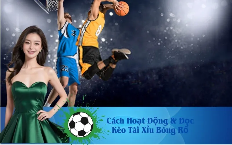 Cách Hoạt Động & Đọc Kèo Tài Xỉu Bóng Rổ Chính Xác