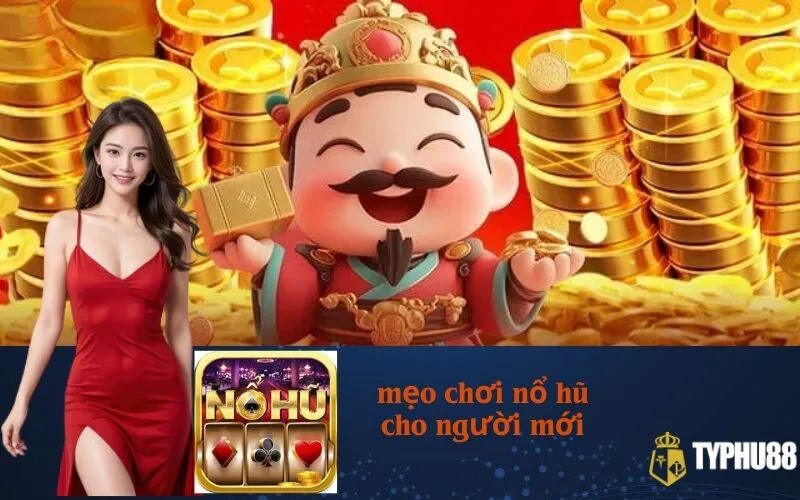 meo-choi-no-hu-cho-nguoi-moi